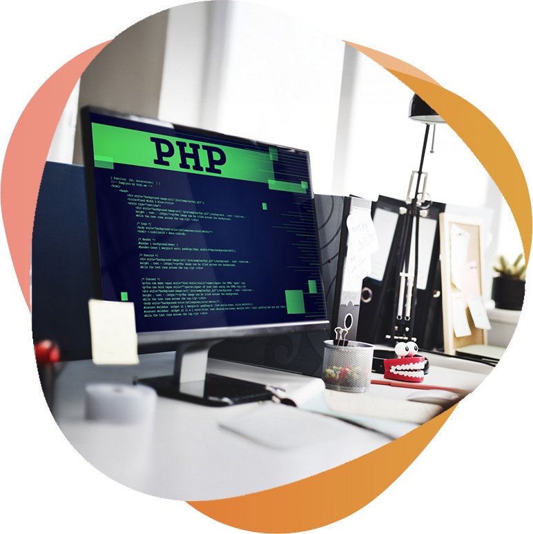 wordpress-development