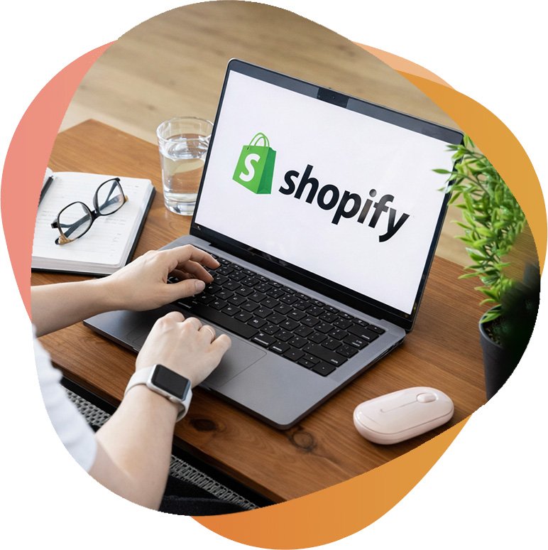 wordpress-development