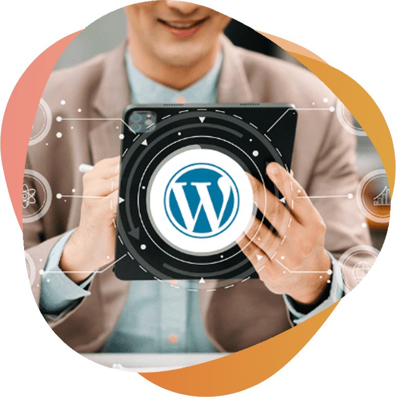 wordpress-development